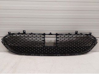 Lower Grille